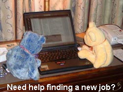 Outplacement Picture of Teddy Bears looking at a Laptop